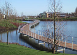 Ekki Hardwood Timber Boardwalk at Cambridge Research Park, Ely Rd, Waterbeach, Cambridge CB25 9TF