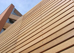 Timber Cladding at Paddington, London