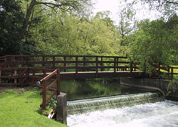Ekki Hardwood Bridge in Hampshire