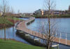 Ekki Hardwood Timber Boardwalk at Cambridge Research Park, Ely Rd, Waterbeach, Cambridge CB25 9TF