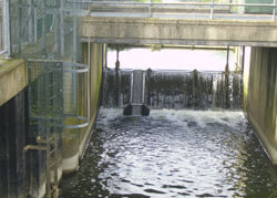 Fix Weir mounted Elver Pass in Lincoln