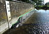 Weir with water level
