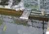 Weir on a river